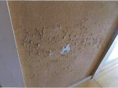 福島県相馬市 相馬駅23分 戸建て 144万円の競売物件情報 #16