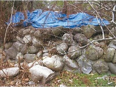 福島県相馬市 相馬駅23分 戸建て 144万円の競売物件情報 #19