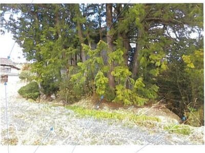 福島県南相馬市 原ノ町駅 農地 656万円の競売物件情報 #10