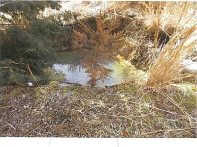 福島県南相馬市 原ノ町駅 農地 656万円の競売物件情報 #13