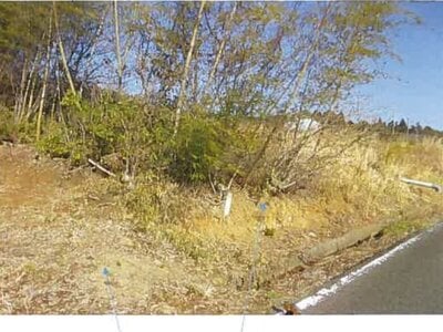 福島県南相馬市 原ノ町駅 農地 656万円の競売物件情報 #16