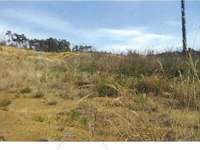 福島県南相馬市 原ノ町駅 農地 656万円の競売物件情報 #18