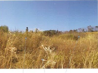 福島県南相馬市 原ノ町駅 農地 656万円の競売物件情報 #20