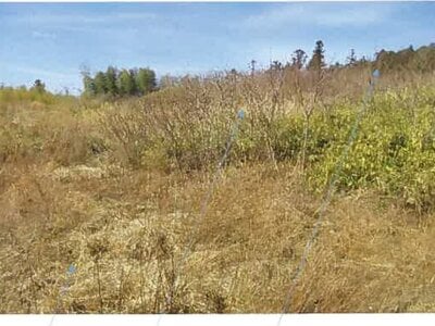 福島県南相馬市 原ノ町駅 農地 656万円の競売物件情報 #21