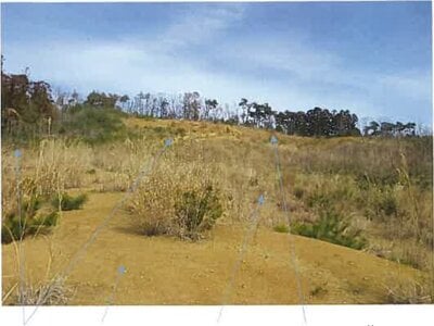 福島県南相馬市 原ノ町駅 農地 656万円の競売物件情報 #22