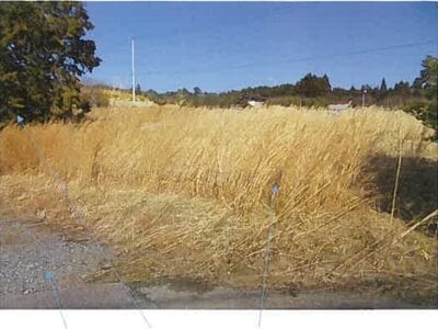 福島県南相馬市 原ノ町駅 農地 656万円の競売物件情報 #6