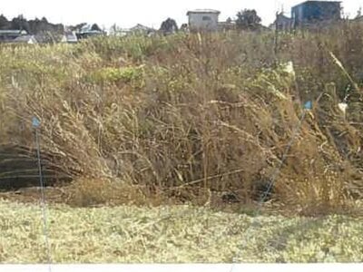 福島県南相馬市 原ノ町駅 農地 37万円の競売物件情報 #10