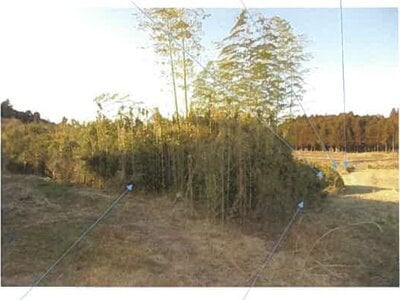 福島県南相馬市 原ノ町駅 農地 37万円の競売物件情報 #3