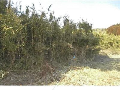 福島県南相馬市 原ノ町駅 農地 37万円の競売物件情報 #4