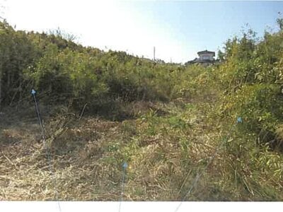 福島県南相馬市 原ノ町駅 農地 37万円の競売物件情報 #5