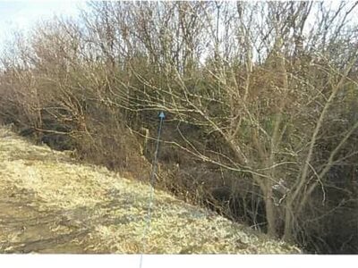 福島県南相馬市 原ノ町駅 農地 37万円の競売物件情報 #8