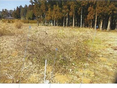 福島県南相馬市 原ノ町駅 農地 4万円の競売物件情報 #4