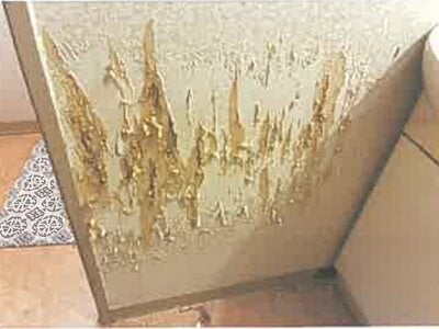 埼玉県所沢市 下山口駅6分 マンション「西所沢椿峰ニュータウン」33万円の競売物件情報 #7