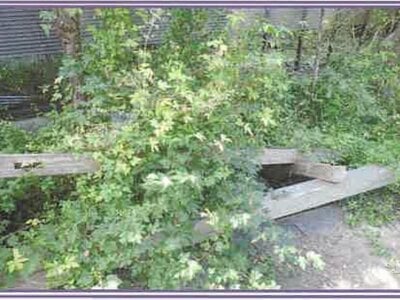 山梨県甲州市 塩山駅 戸建て 631万円の競売物件情報 #27