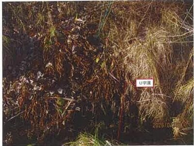 長野県東筑摩郡麻績村 坂北駅16分 戸建て 576万円の競売物件情報 #12