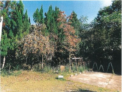 京都府綾部市 綾部駅21分 戸建て 277万円の競売物件情報 #3