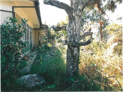 京都府綾部市 綾部駅21分 戸建て 277万円の競売物件情報 #6