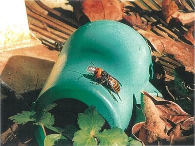 京都府綾部市 綾部駅21分 戸建て 277万円の競売物件情報 #7