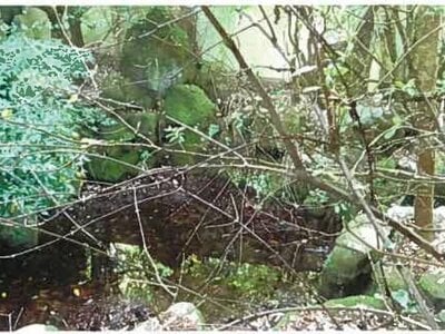 (値下げ) 島根県雲南市 出雲大東駅 戸建て 1,287万円の競売物件情報 #22