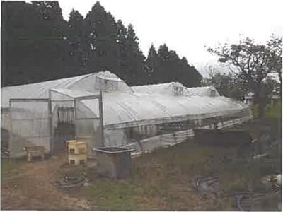 北海道北斗市 清川口駅 農地 111万円の競売物件情報 #4