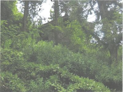 茨城県常陸大宮市 西金駅 土地 64万円の競売物件情報 #5