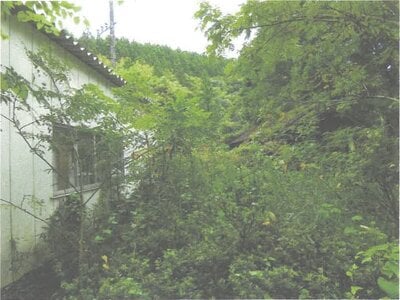 茨城県常陸大宮市 西金駅 土地 64万円の競売物件情報 #6