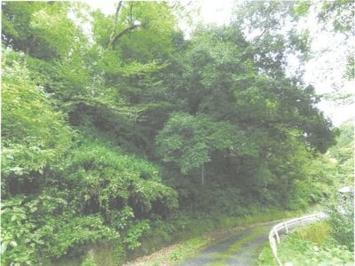 茨城県常陸大宮市 西金駅 土地 64万円の競売物件情報 #7