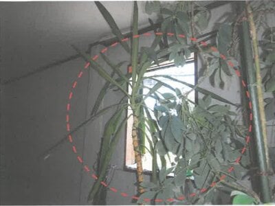 茨城県東茨城郡茨城町 偕楽園駅 戸建て 423万円の競売物件情報 #5