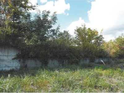 新潟県小千谷市 越後岩塚駅 土地 462万円の競売物件情報 #2