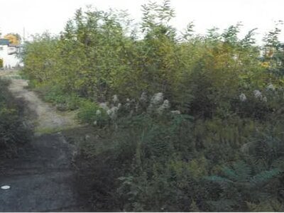 新潟県小千谷市 越後岩塚駅 土地 462万円の競売物件情報 #3