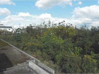 新潟県小千谷市 越後岩塚駅 土地 462万円の競売物件情報 #5