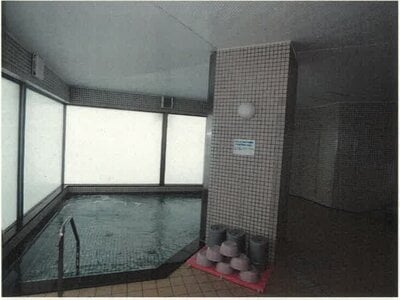 新潟県南魚沼郡湯沢町 マンション「ファミールヴィラ苗場タワー」1万円の競売物件情報 #7