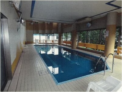 新潟県南魚沼郡湯沢町 マンション「ファミールヴィラ苗場タワー」1万円の競売物件情報 #9