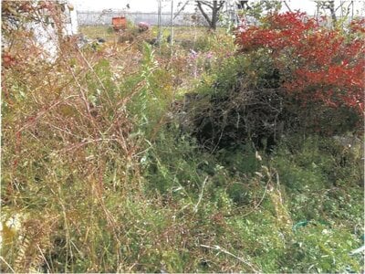 山形県寒河江市 南寒河江駅8分 戸建て 298万円の競売物件情報 #2