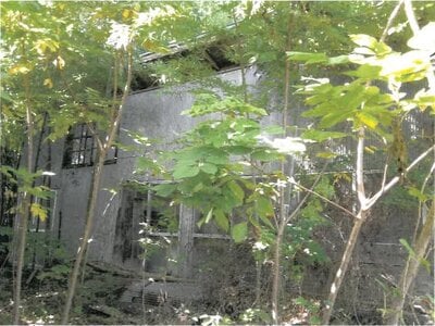 山形県西置賜郡白鷹町 鮎貝駅24分 戸建て 57万円の競売物件情報 #2