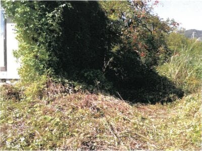 山形県西置賜郡白鷹町 鮎貝駅24分 戸建て 57万円の競売物件情報 #3