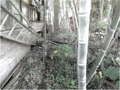 山形県西置賜郡白鷹町 鮎貝駅24分 戸建て 57万円の競売物件情報 #5