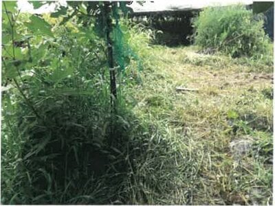 山形県南陽市 赤湯駅15分 戸建て 238万円の競売物件情報 #10