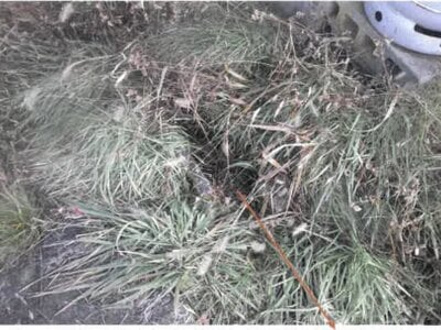 山形県南陽市 赤湯駅15分 戸建て 238万円の競売物件情報 #12