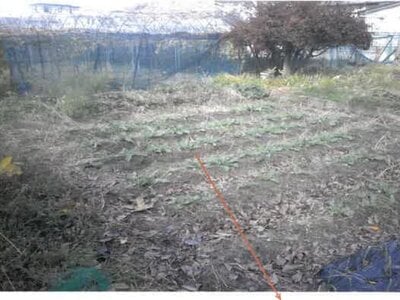 山形県南陽市 赤湯駅15分 戸建て 238万円の競売物件情報 #22