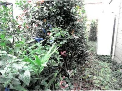 埼玉県蓮田市 蓮田駅19分 土地 259万円の競売物件情報 #3