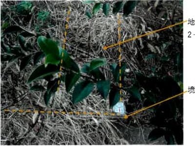 埼玉県川口市 戸塚安行駅19分 土地 2,165万円の競売物件情報 #4