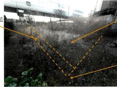 埼玉県川口市 戸塚安行駅19分 土地 2,165万円の競売物件情報 #5