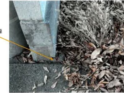 埼玉県川口市 戸塚安行駅19分 土地 2,165万円の競売物件情報 #7