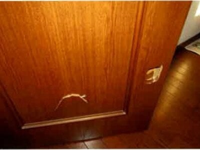 埼玉県桶川市 北本駅 戸建て 377万円の競売物件情報 #18