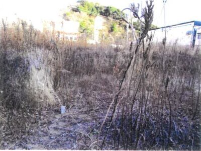 千葉県君津市 君津駅11分 土地 660万円の競売物件情報 #10