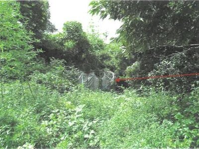 (値下げ) 千葉県大網白里市 永田駅 土地 206万円の競売物件情報 #6