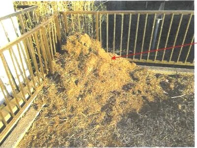 千葉県東金市 東金駅 土地 145万円の競売物件情報 #5