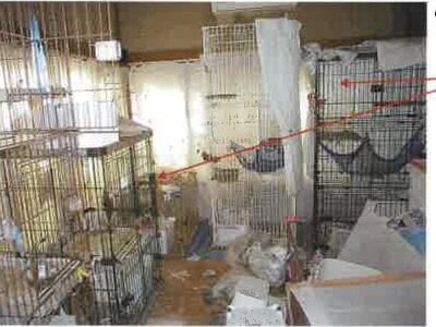 千葉県香取市 小見川駅 戸建て 164万円の競売物件情報 #10