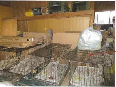 千葉県香取市 小見川駅 戸建て 164万円の競売物件情報 #13